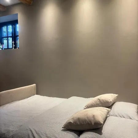 With Backyard * Kodaň