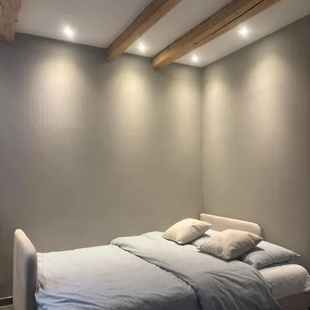 With Backyard Apartamento